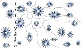 partydesign