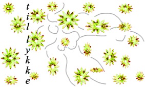 partydesign3
